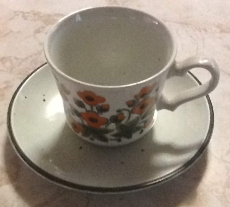 JB1231 Flat Cup & Saucer Set by Johnson Brothers-1