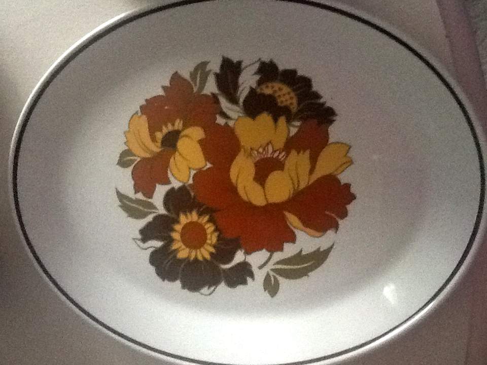 JB1235 Dinner Plate by Johnson Brothers-1
