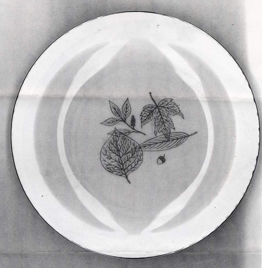 JOH440 Dinner Plate by Johann Haviland-1