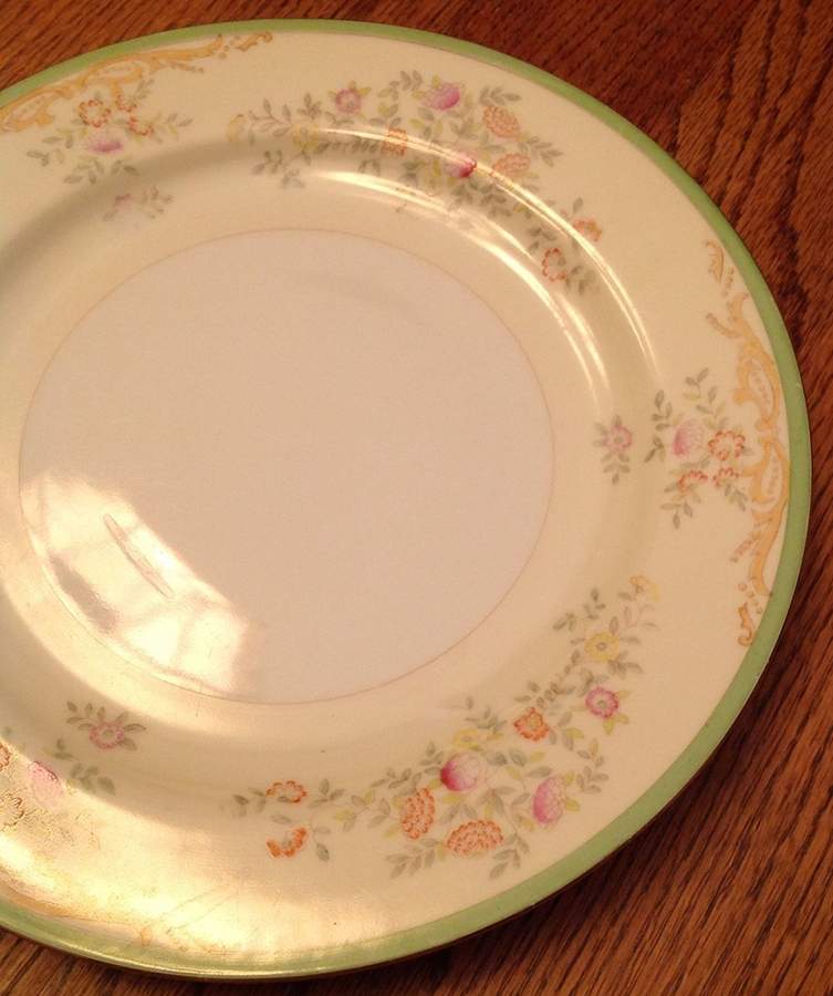 MSJ30 Dinner Plate by MS (Japan)-1