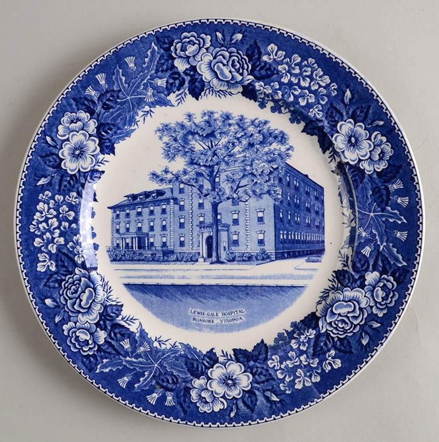 Lewis Gale Hospital Dinner Plate by Jonroth Studios-1