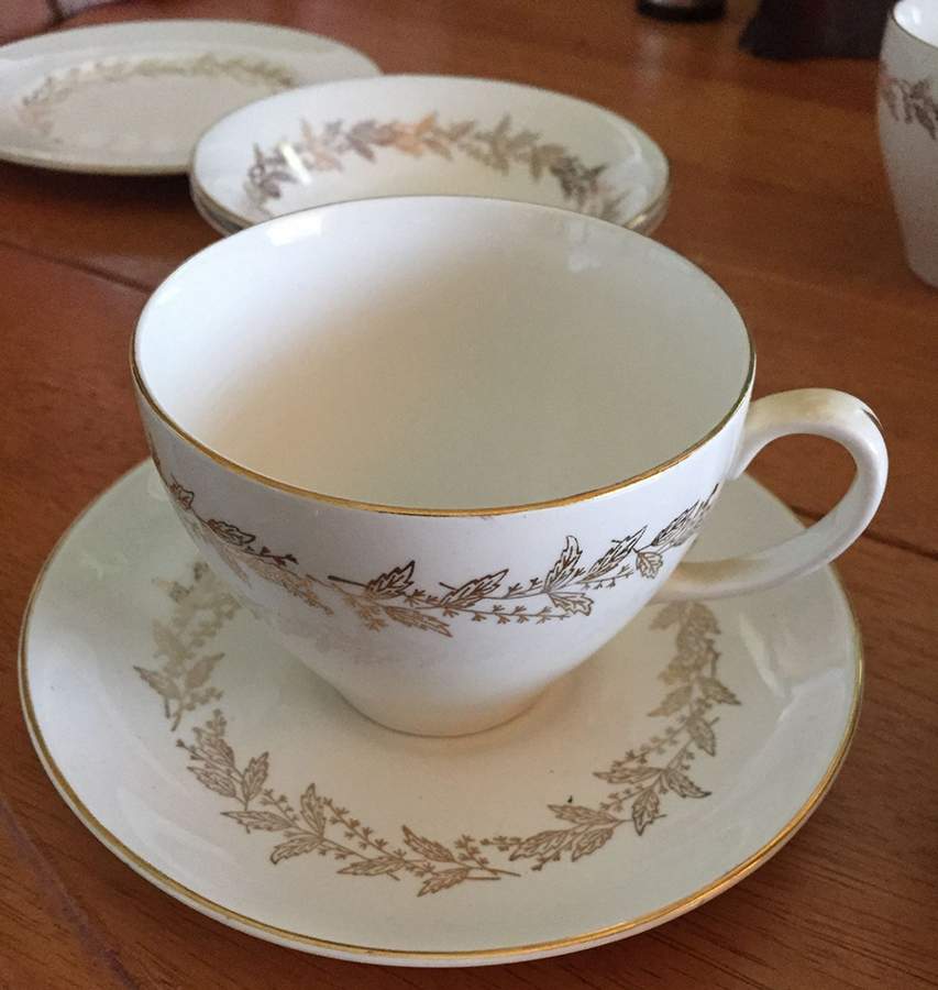 JB1270 Flat Cup & Saucer Set by Johnson Brothers-1