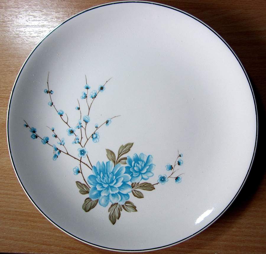 JB1272 Dinner Plate by Johnson Brothers-1