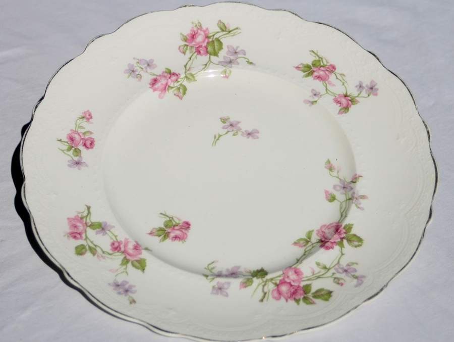 JB1273 Dinner Plate by Johnson Brothers-1