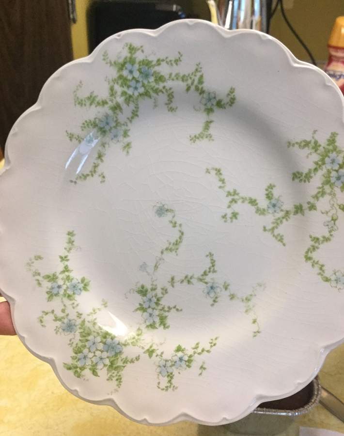 JB1283 Dinner Plate by Johnson Brothers-1