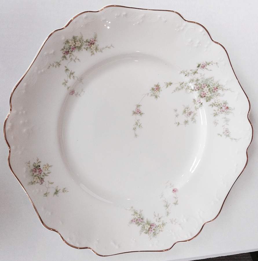 JB1310 Dinner Plate by Johnson Brothers-1
