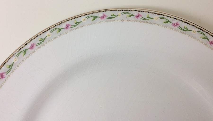 JB1313 Dinner Plate by Johnson Brothers-1