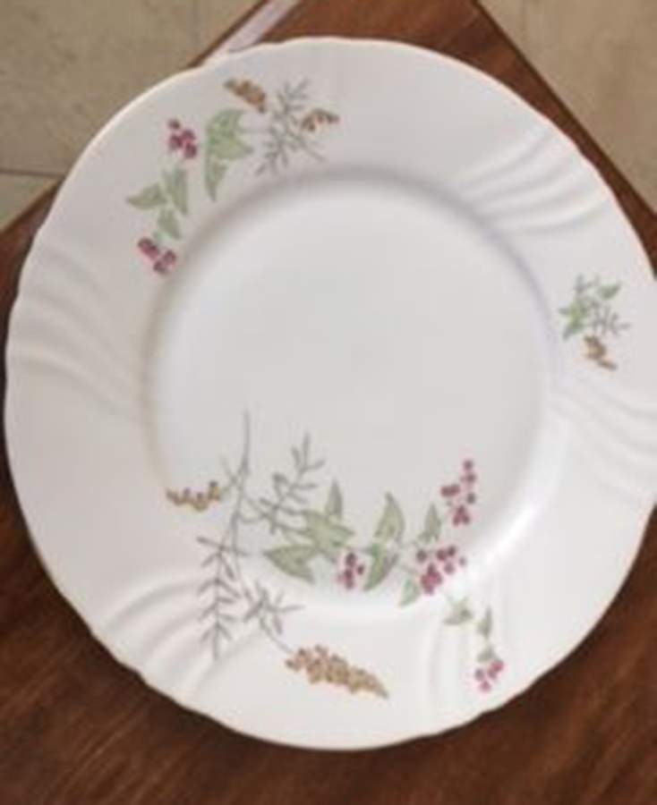 JOH456 Dinner Plate by Johann Haviland-1