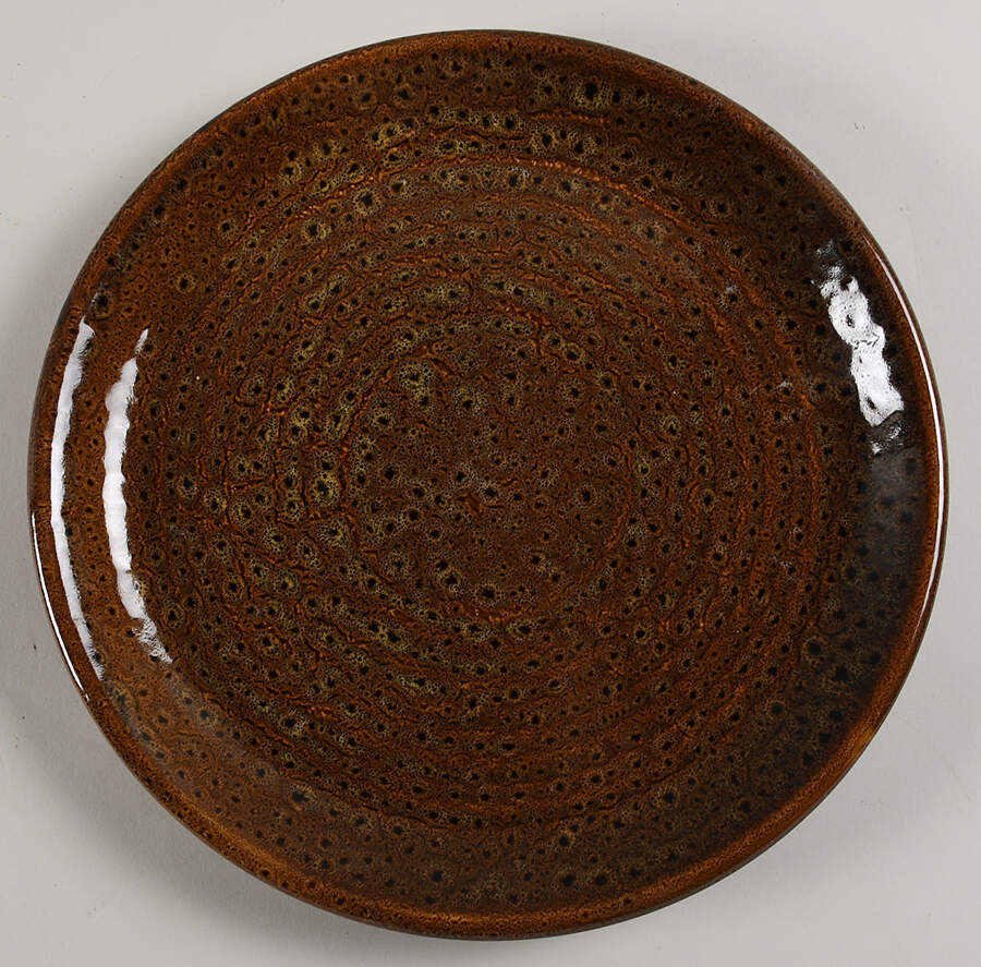 JCY2 Dinner Plate by Jaclyn Smith-1