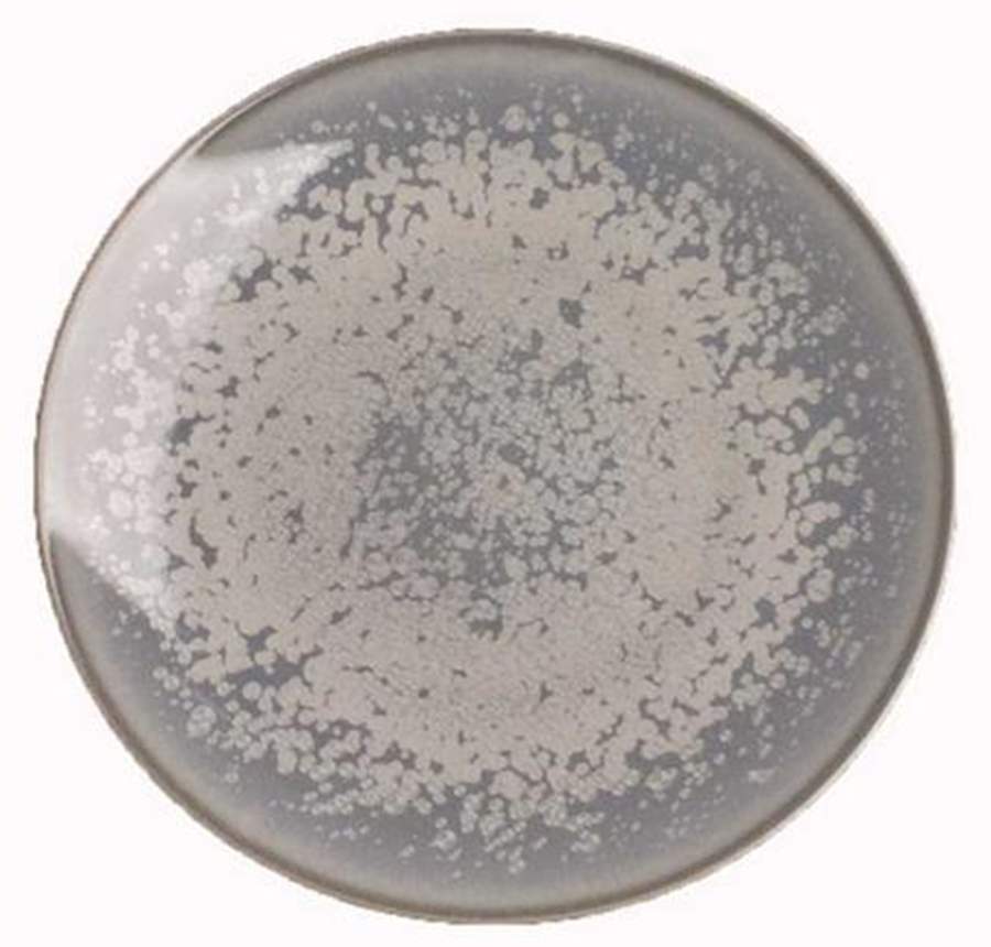 Song Ocean (Blue) Dinner Plate by Jaune de Chrome-1