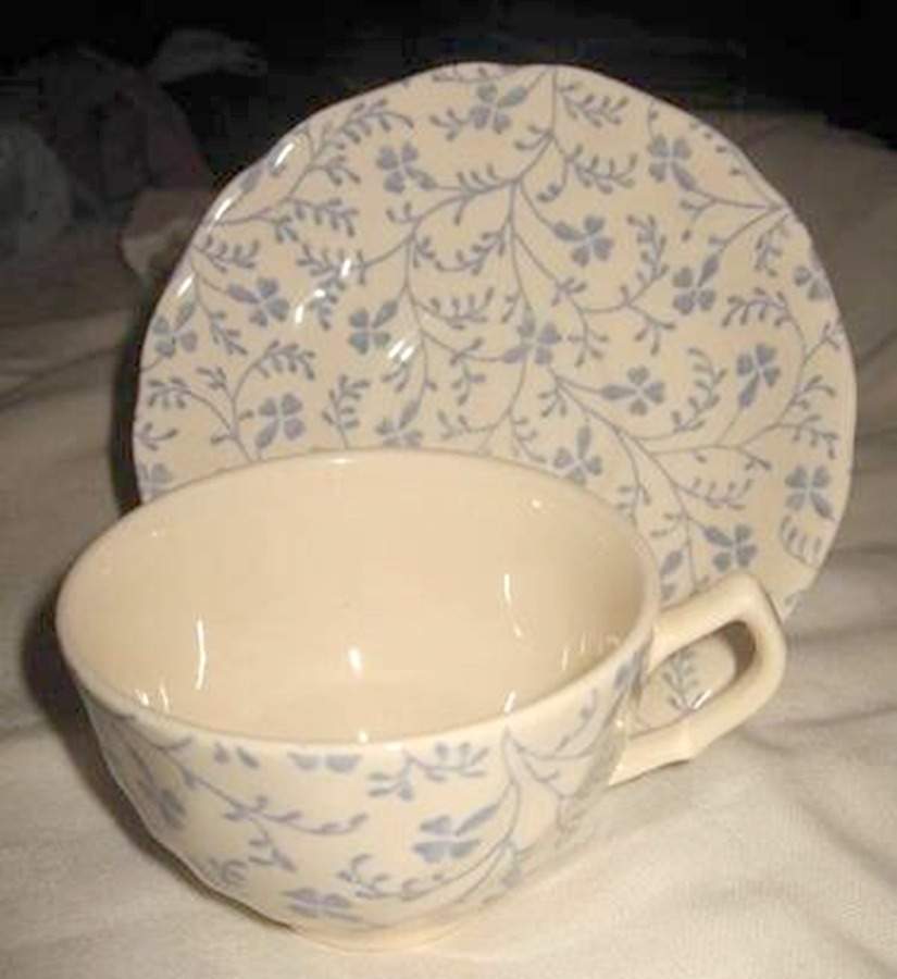 Susanna Blue Flat Cup & Saucer Set by Johnson Brothers-1