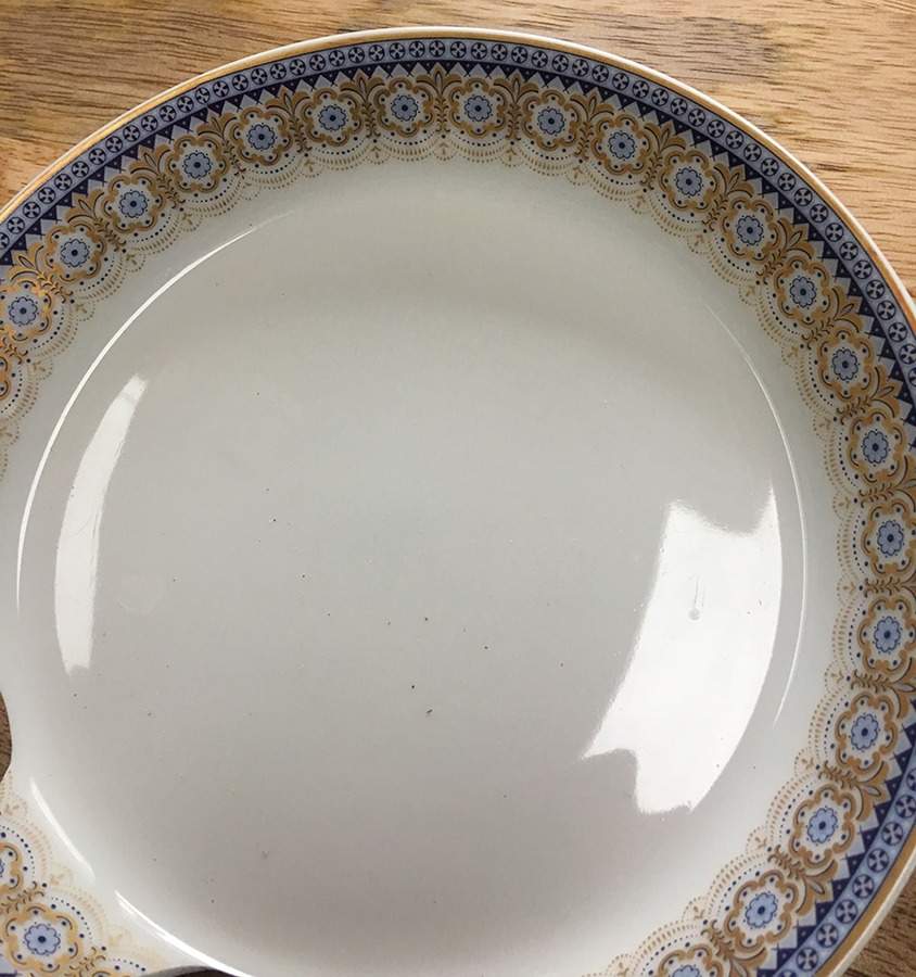 406 Dinner Plate by Johann Seltmann-1
