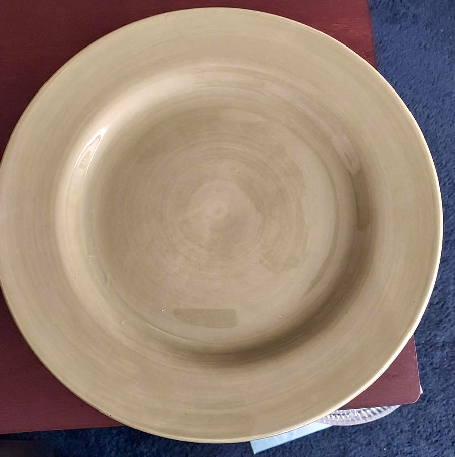 Aloe Green Dinner Plate by JCPenney-1