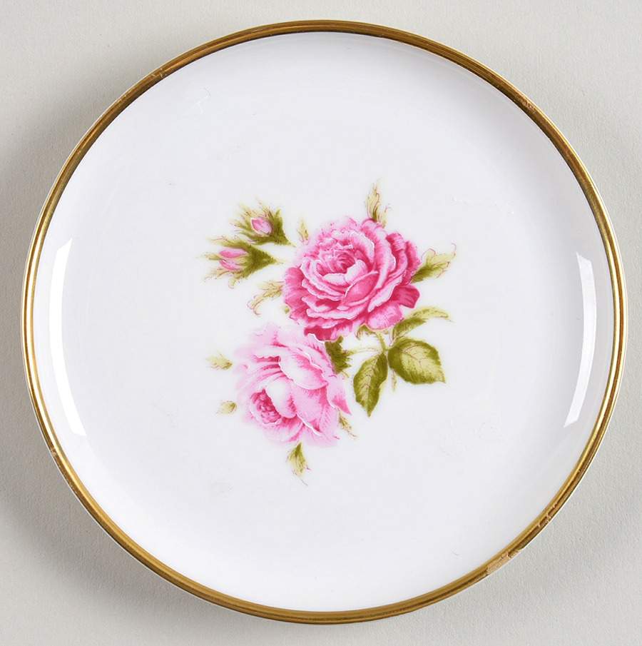 Moosrose Coaster by Kaiser-1