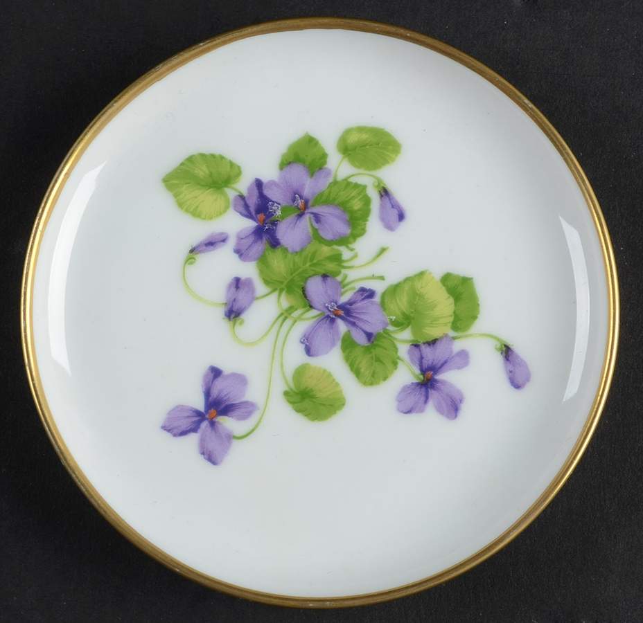 Viola Coaster by Kaiser-1