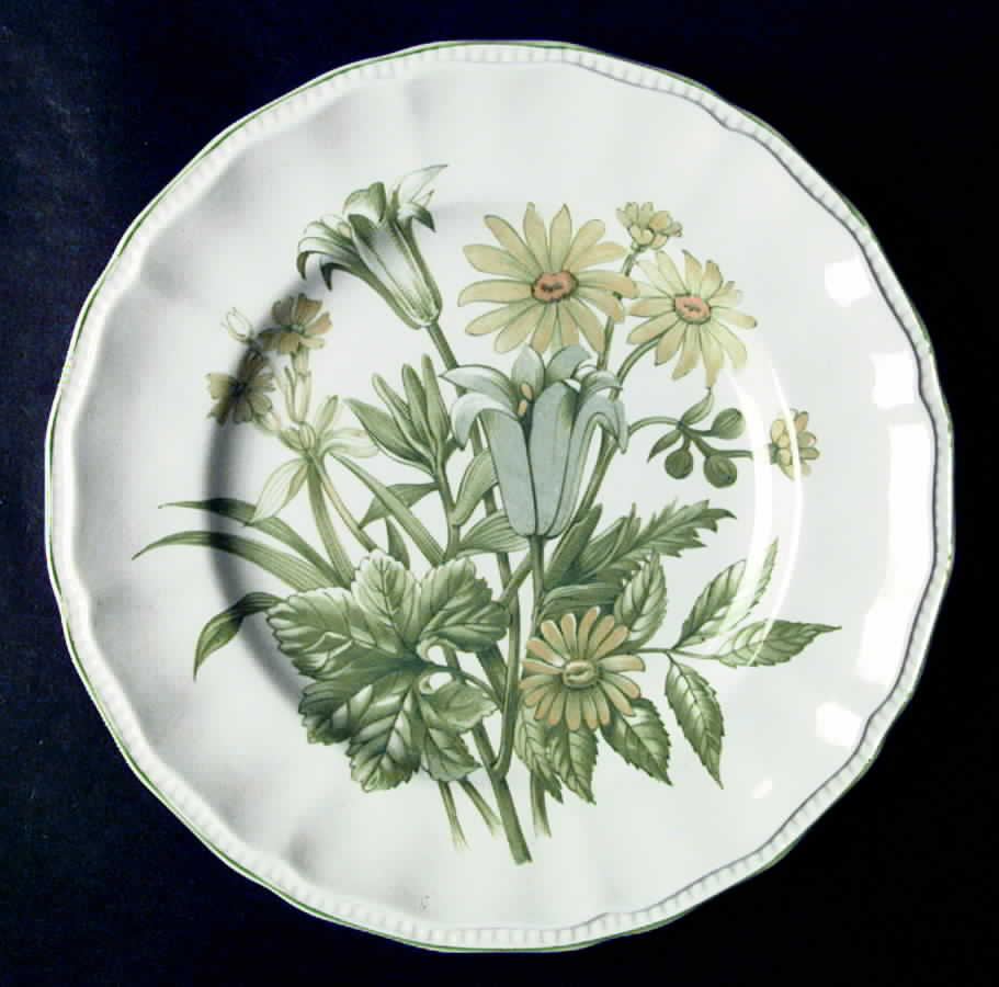 Butterfield Dinner Plate by Kensington Staffords-1