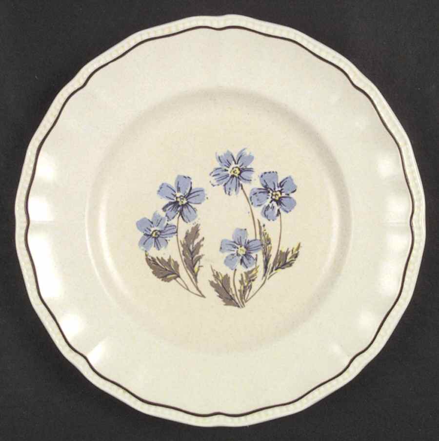 Hyde Park Dinner Plate by Kensington Staffords-1