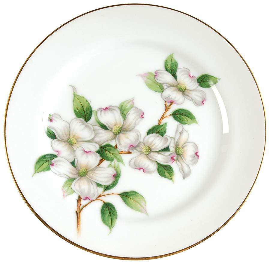 Dogwood Bread & Butter Plate by King's Court-1