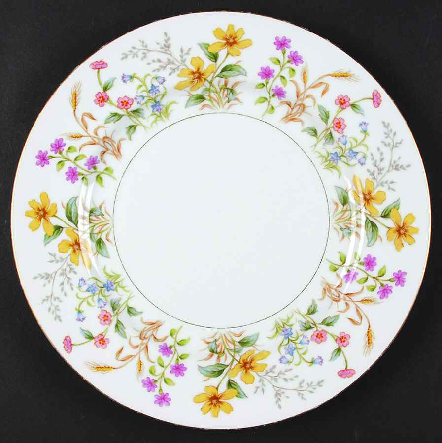Sherwood Dinner Plate by King's Court-1