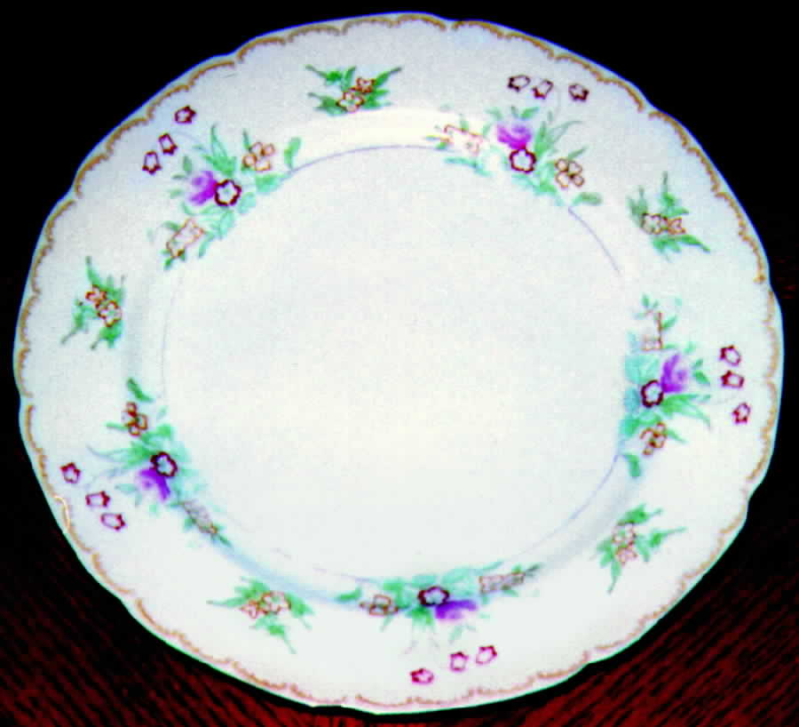 KIK24 Dinner Plate by Kikusui-1