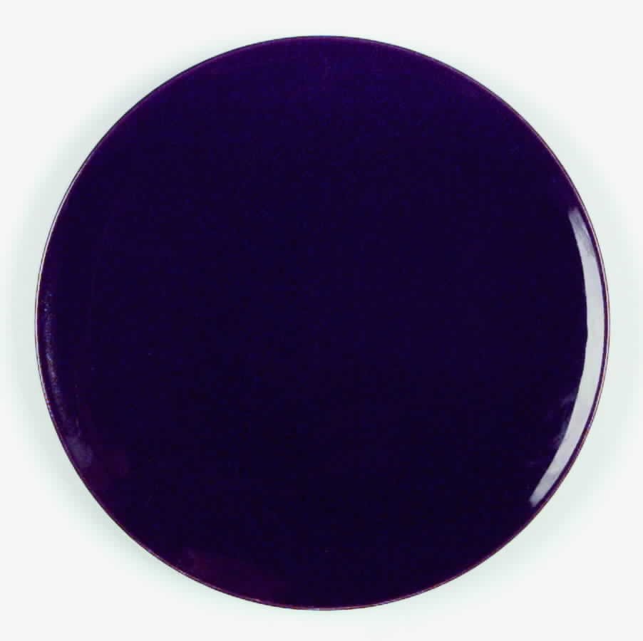 Accent Brown Dinner Plate by Edwin Knowles-1