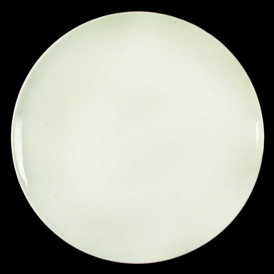 Accent White Dinner Plate by Edwin Knowles-1