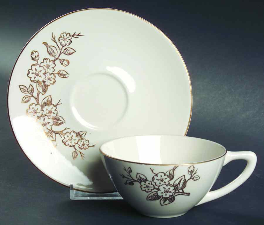 Apple Blossom Flat Cup & Saucer Set by Edwin Knowles-1