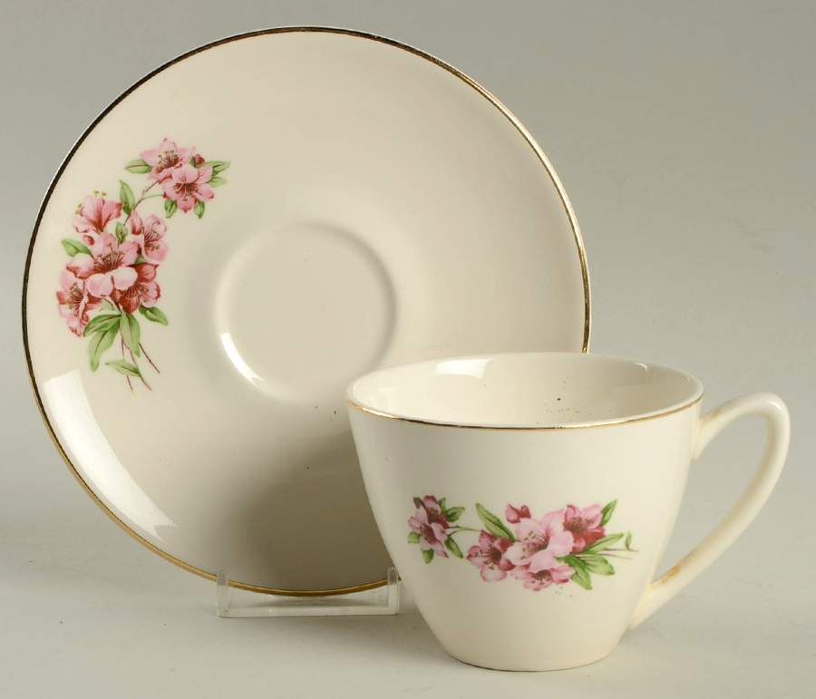Azalea Flat Cup & Saucer Set by Edwin Knowles-1