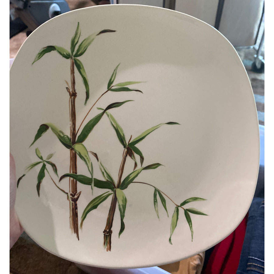Bamboo Dinner Plate by Edwin Knowles-1