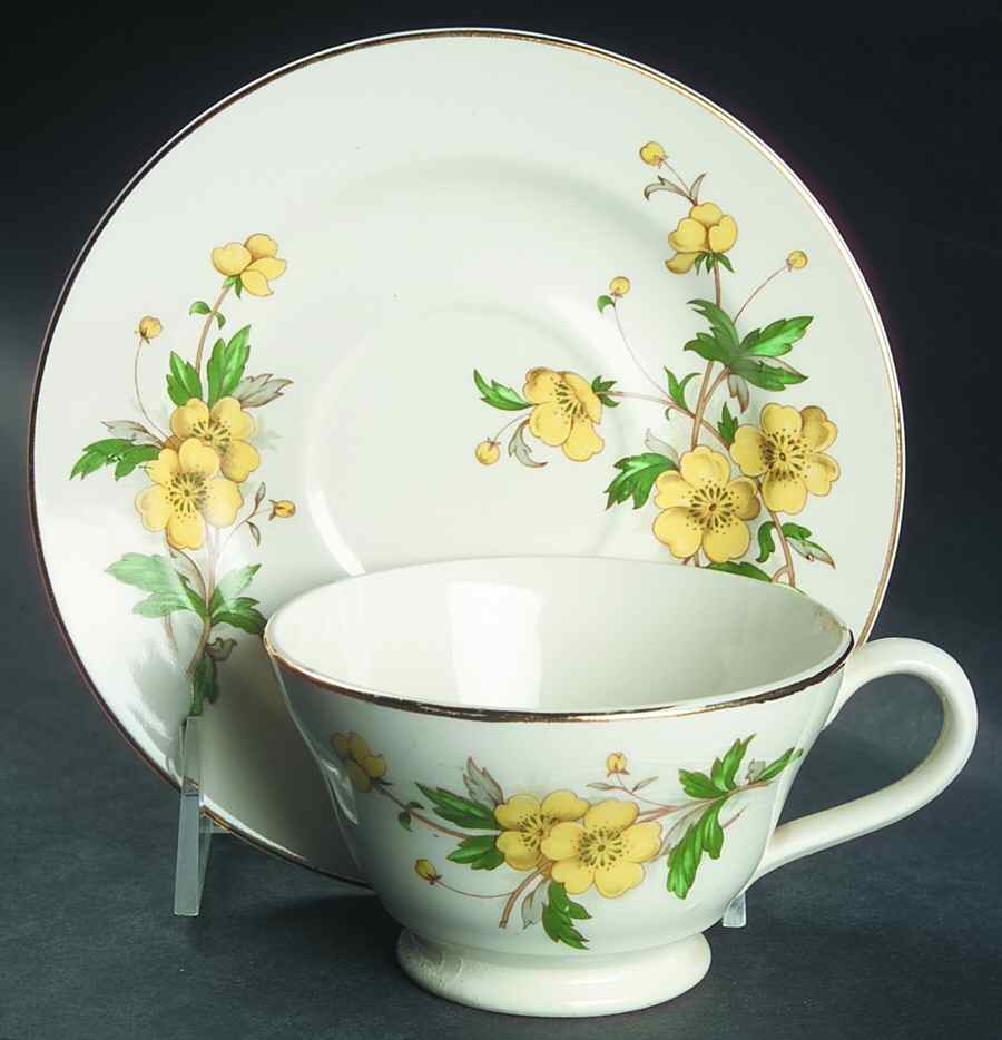 Buttercup Footed Cup & Saucer Set by Edwin Knowles-1