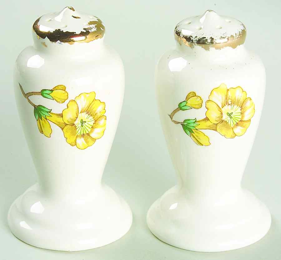 Buttercup Salt & Pepper Set by Edwin Knowles-1