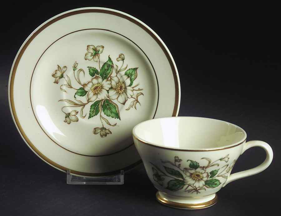 Carolina Footed Cup & Saucer Set by Edwin Knowles-1