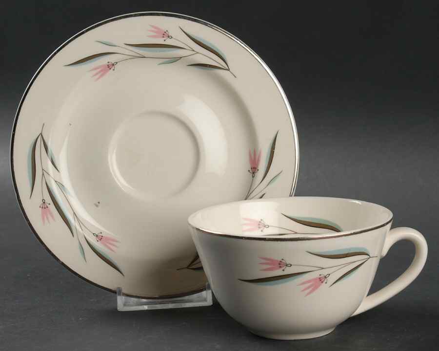 Carlton Flat Cup & Saucer Set by Edwin Knowles-1
