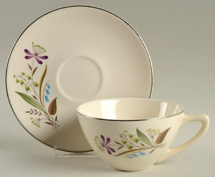 Chalet Flat Cup & Saucer Set by Edwin Knowles-1