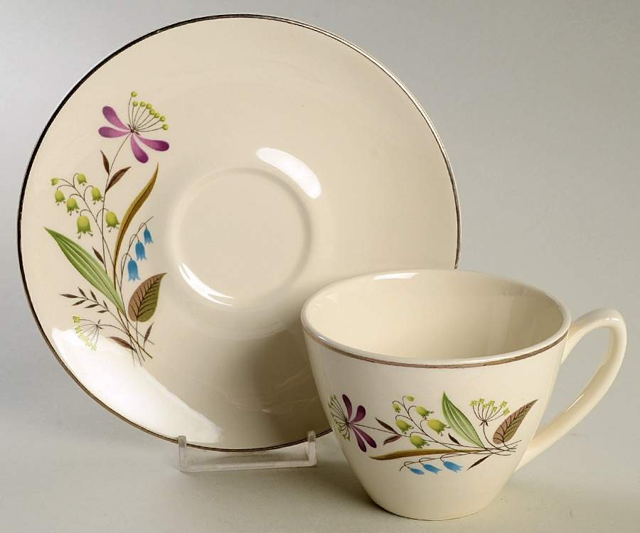 Chalet Flat Cup & Saucer Set by Edwin Knowles-1