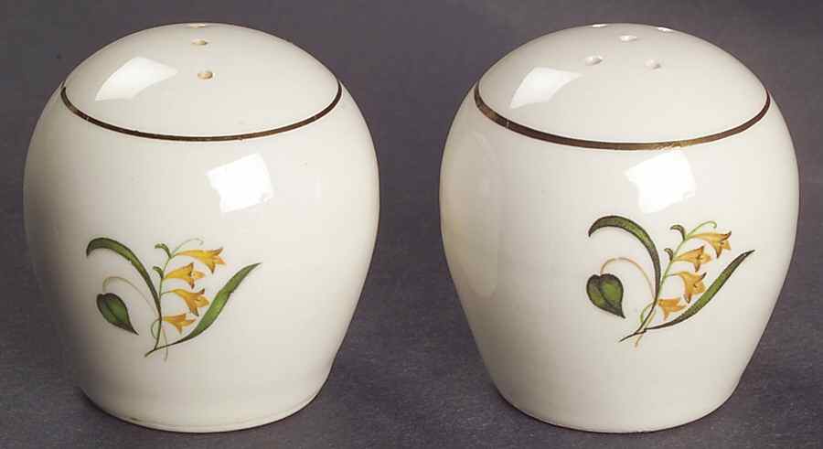 Forsythia Salt & Pepper Set by Edwin Knowles-1