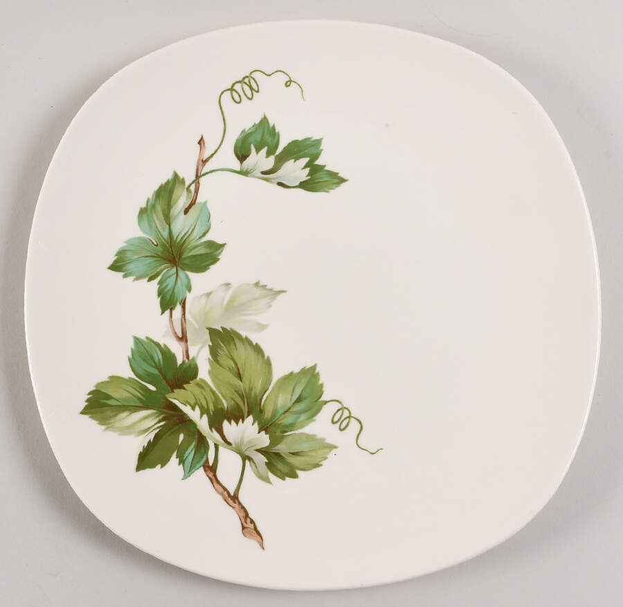 Grapevine Square Dinner Plate by Edwin Knowles-1