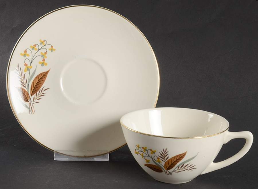 Harmony Flat Cup & Saucer Set by Edwin Knowles-1