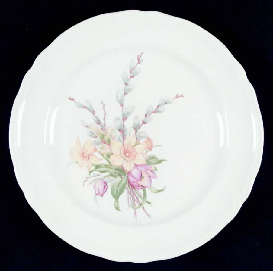KNO119 Dinner Plate by Edwin Knowles-1
