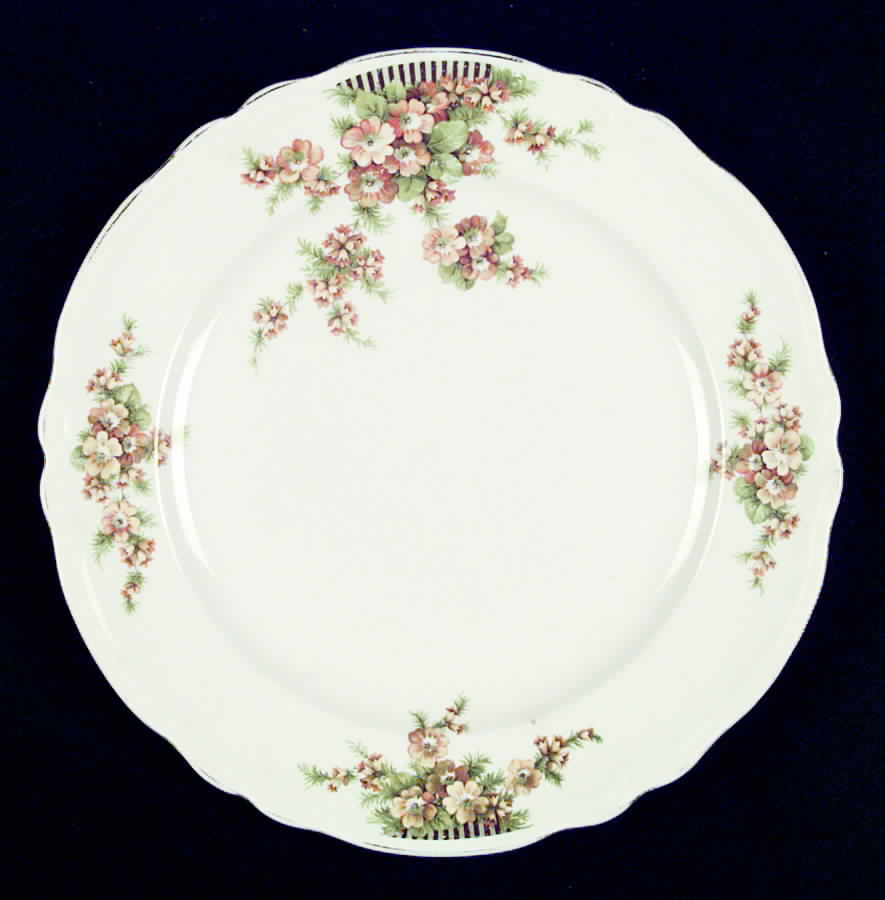 KNO121 Dinner Plate by Edwin Knowles-1