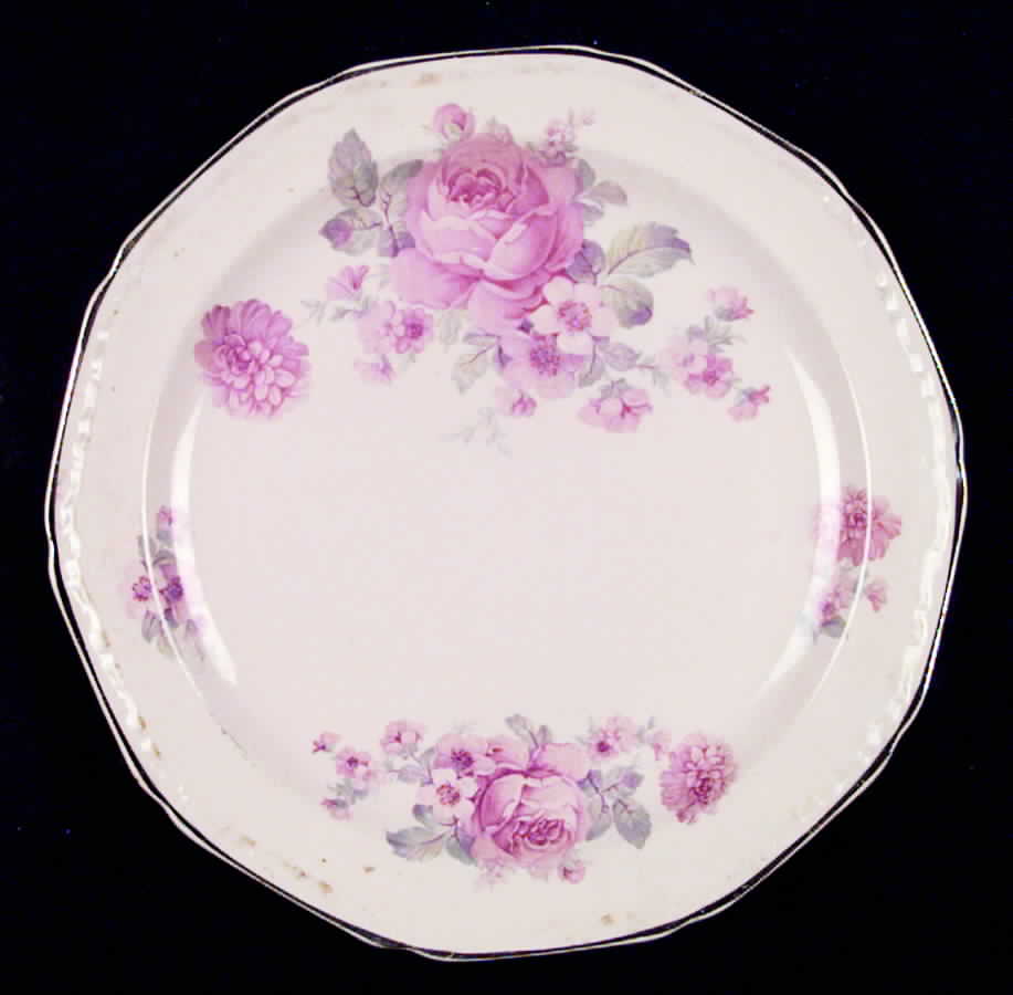 KNO122 Dinner Plate by Edwin Knowles-1