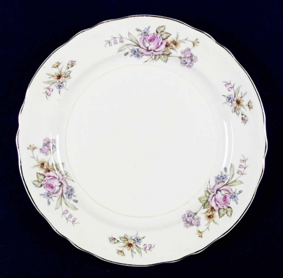 KNO124 Dinner Plate by Edwin Knowles-1