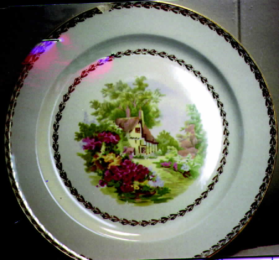 KNO126 Dinner Plate by Edwin Knowles-1