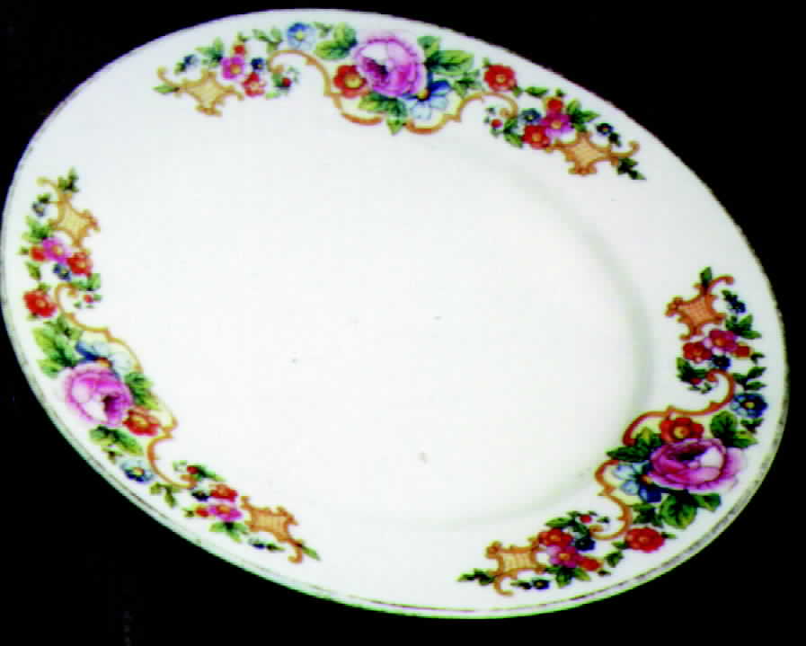 KNO132 Dinner Plate by Edwin Knowles-1