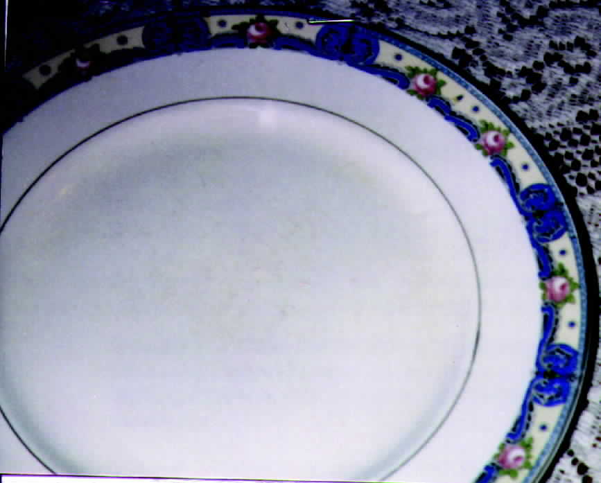 KNO140 Dinner Plate by Edwin Knowles-1