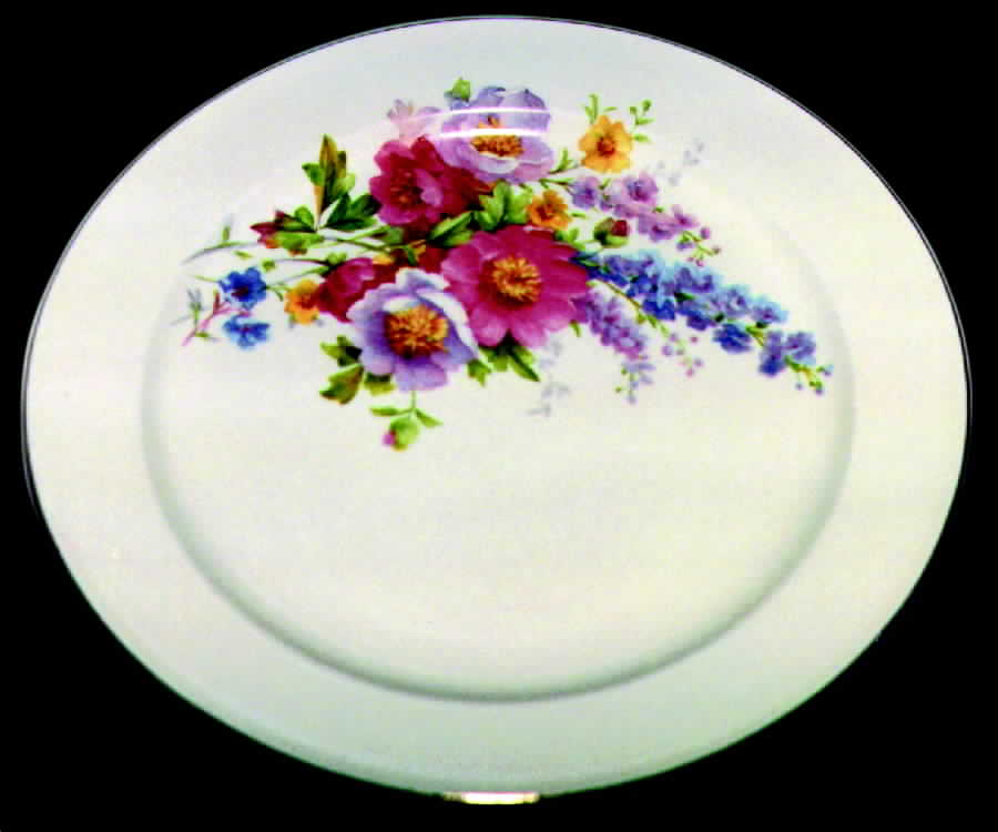 KNO142 Dinner Plate by Edwin Knowles-1
