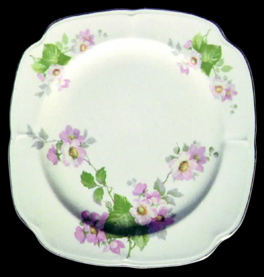 KNO143 Salad Plate by Edwin Knowles-1