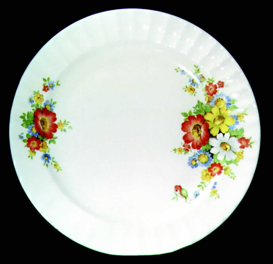 KNO146 Dinner Plate by Edwin Knowles-1