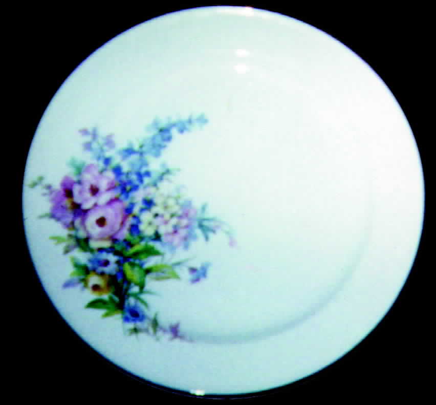 698E11 Dinner Plate by Edwin Knowles-1