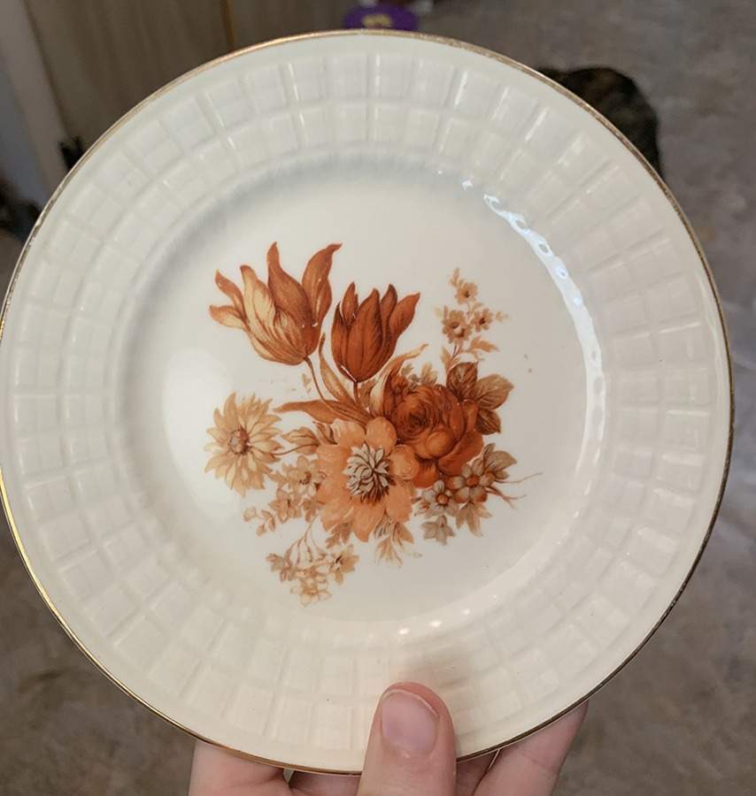 KNO164 Bread & Butter Plate by Edwin Knowles-1